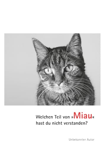 Postkarten Katzen Miau: (VE10) von Schöffling