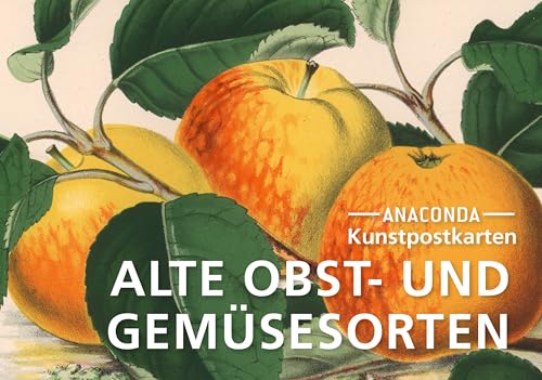 Postkarten-Set Alte Obst- und Gemüsesorten: 18 Kunstpostkarten aus hochwertigem Karton. ca. 0,28€ pro Karte (Anaconda Postkarten, Band 84) von Anaconda Verlag