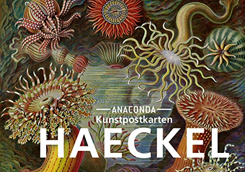 Postkarten-Set Ernst Haeckel: 18 Kunstpostkarten aus hochwertigem Karton. ca. 0,28€ pro Karte (Anaconda Postkarten, Band 30) von Anaconda Verlag