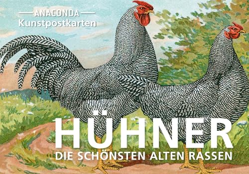 Postkarten-Set Hühner: 18 Kunstpostkarten aus hochwertigem Karton. ca. 0,28€ pro Karte (Anaconda Postkarten, Band 85) von Anaconda Verlag