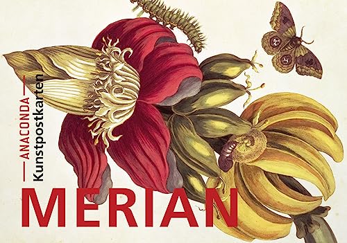 Postkarten-Set Maria Sibylla Merian: 18 Kunstpostkarten aus hochwertigem Karton. ca. 0,28€ pro Karte (Anaconda Postkarten, Band 2) Postkarten-Set Maria Sibylla Merian: 18 Kunstpostkarten aus hochwertigem Karton. ca. 0,28€ pro Karte (Anaconda Postkarten, Band 2) von ANACONDA