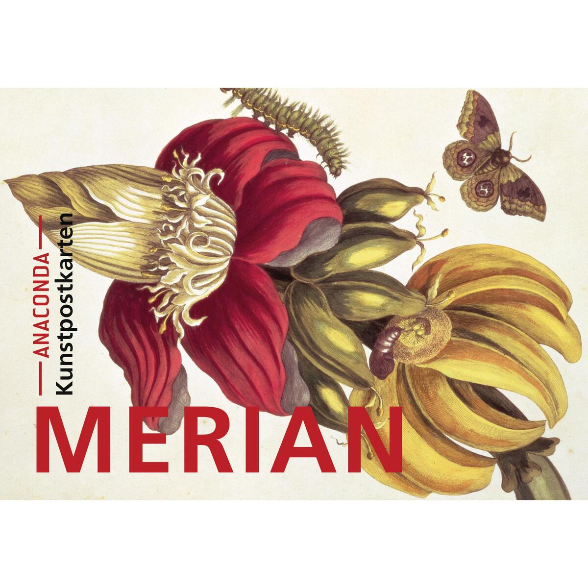 Postkarten-Set Maria Sibylla Merian von Anaconda Verlag