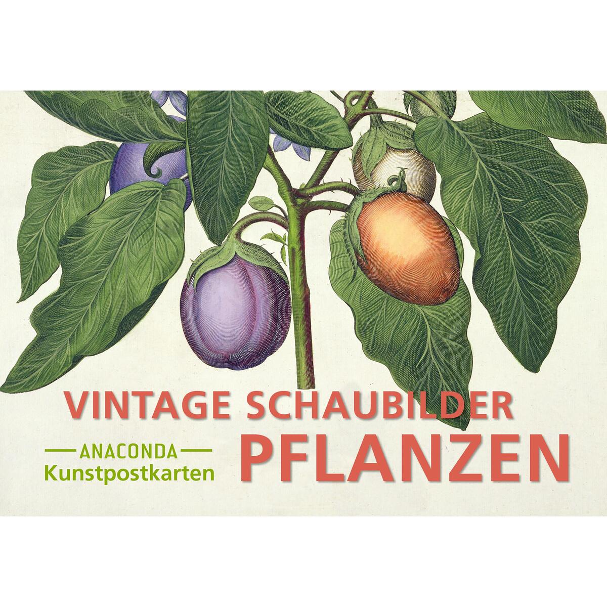 Postkarten-Set Vintage-Schaubilder Pflanzen von Anaconda Verlag