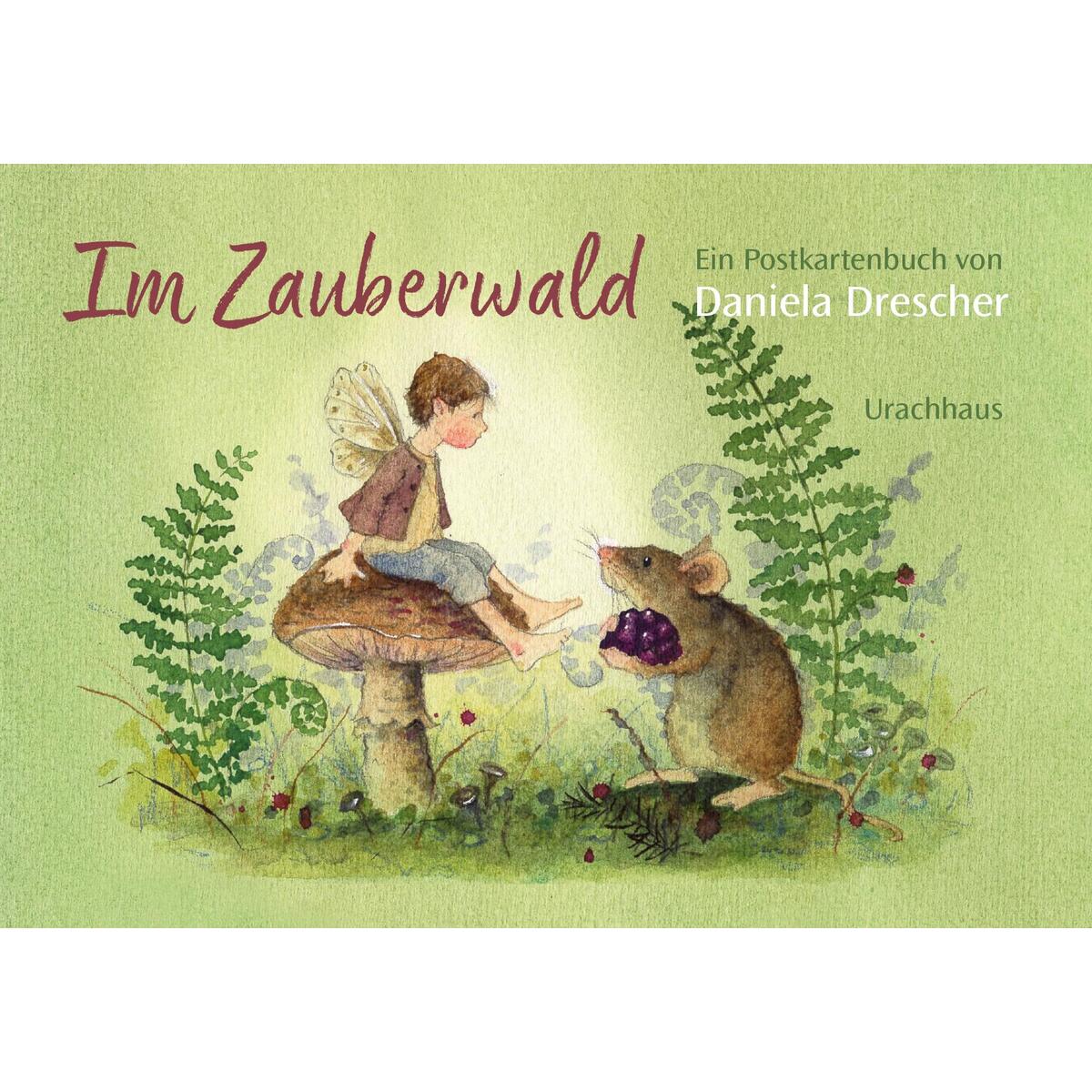 Postkartenbuch &#039;Im Zauberwald&#039; von Urachhaus/Geistesleben