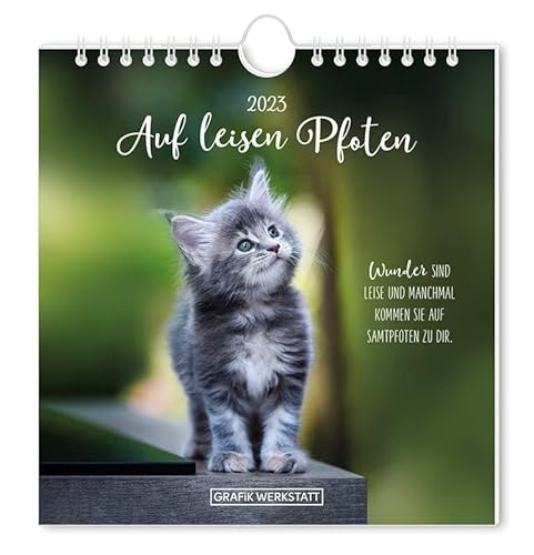 Postkartenkalender 2023 "Auf leisen Pfoten": Postkartenkalender Postkartenkalender 2023 "Auf leisen Pfoten": Postkartenkalender