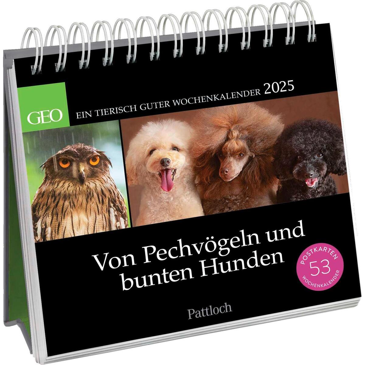 Postkartenkalender »Von Pechvögeln und bunten Hunden 2025« Postkartenkalender »Von Pechvögeln und bunten Hunden 2025« von Pattloch Geschenkbuch