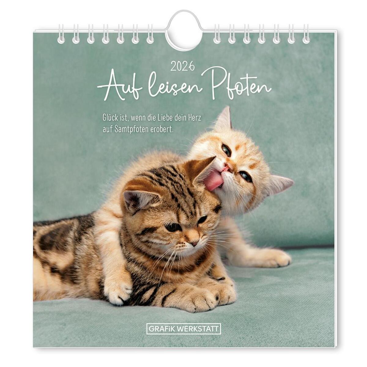 Postkartenkalender 2026 Auf leisen Pfoten von Grafik Werkstatt