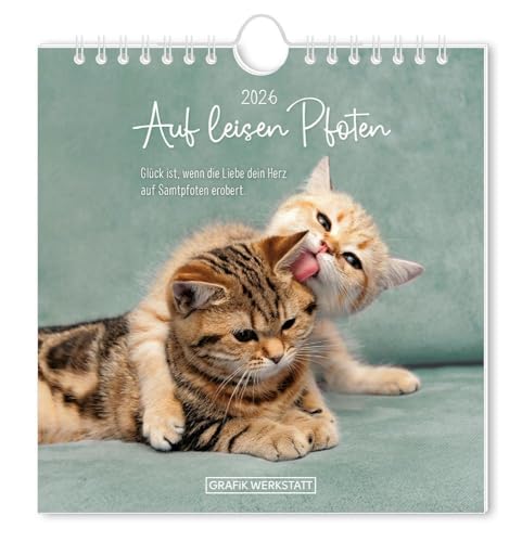 Postkartenkalender 2026 Auf leisen Pfoten: Postkartenkalender Postkartenkalender 2026 Auf leisen Pfoten: Postkartenkalender von Grafik Werkstatt "Das Original"