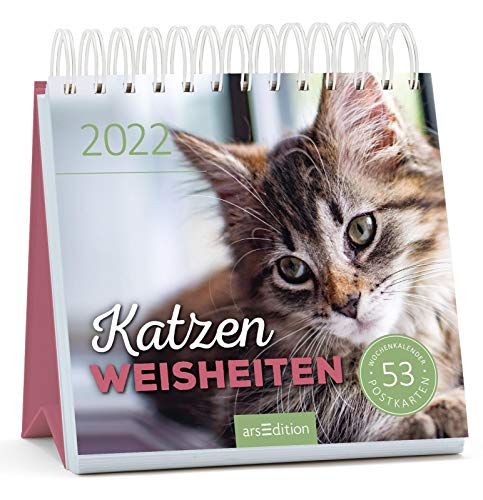 Postkartenkalender Katzenweisheiten 2022 von Ars Edition