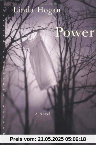 Power (Norton Paperback Fiction)