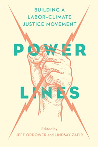 Power Lines: Building a Labor–Climate Justice Movement von The New Press