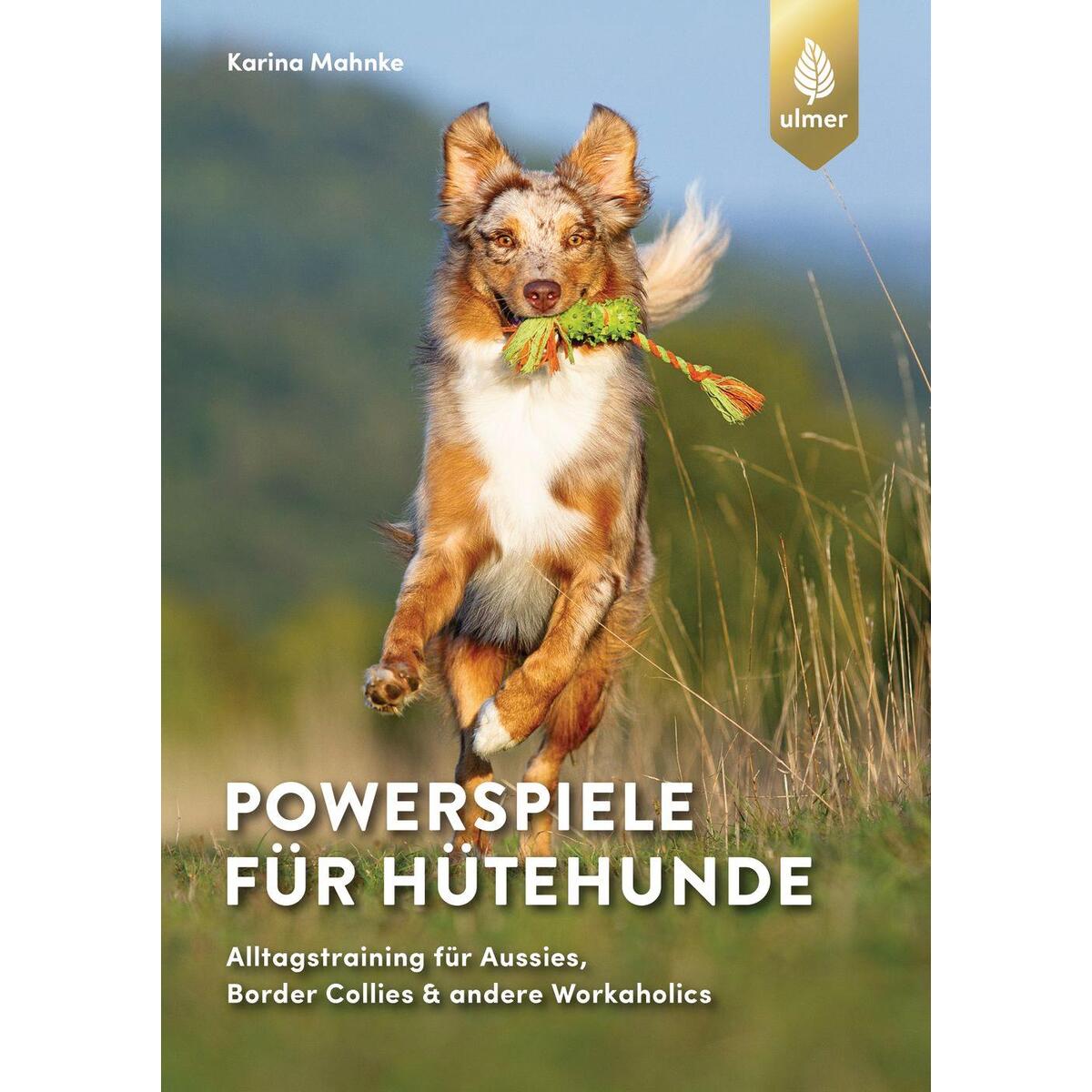 Powerspiele für Hütehunde Powerspiele für Hütehunde von Ulmer Eugen Verlag