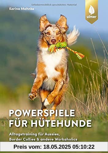Powerspiele für Hütehunde: Alltagstraining für Aussies, Border Collies & andere Workaholics Powerspiele für Hütehunde: Alltagstraining für Aussies, Border Collies & andere Workaholics