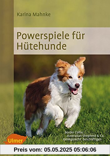 Powerspiele für Hütehunde: Border Collie, Australian Shepherd & Co. rassegerecht beschäftigen Powerspiele für Hütehunde: Border Collie, Australian Shepherd & Co. rassegerecht beschäftigen