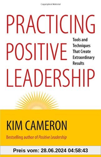 Practicing Positive Leadership: Tools and Techniques That Create Extraordinary Results (BK Business)