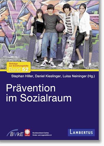 Prävention im Sozialraum (Beiträge zur Erziehungshilfe)
