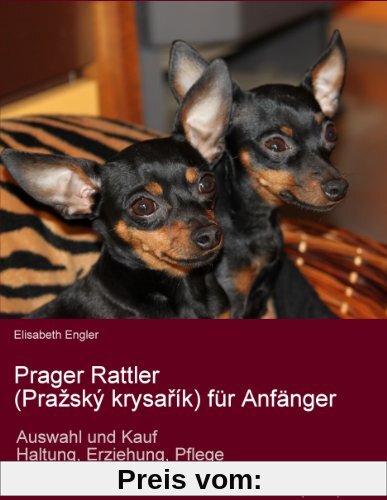 Prager Rattler (Praský krysarík) für Anfänger. Auswahl und Kauf, Erziehung, Haltung, Pflege