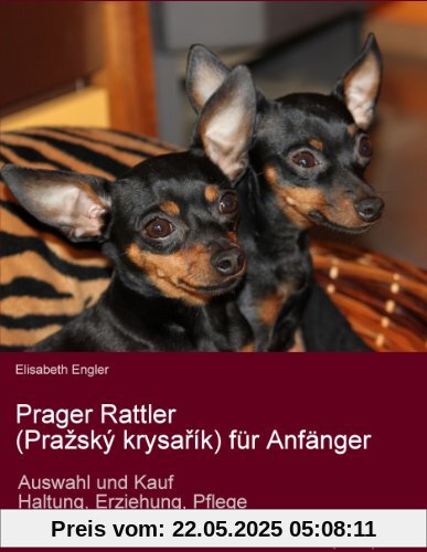 Prager Rattler (Praský krysarík) für Anfänger. Auswahl und Kauf, Erziehung, Haltung, Pflege