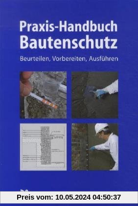 Praxis-Handbuch Bautenschutz: Feuchteschutz, Bauwerksabdichtung, Beschichtung