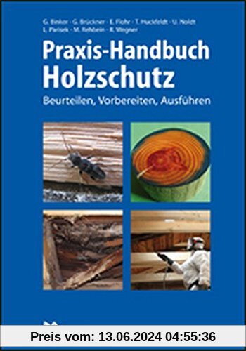 Praxis-Handbuch Holzschutz: Vorbeugen, Beurteilen, Sanieren