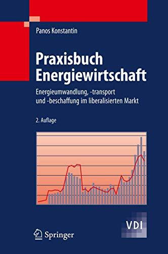 Praxisbuch Energiewirtschaft: Energieumwandlung, -transport und -beschaffung im liberalisierte...