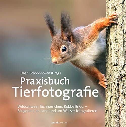 Praxisbuch Tierfotografie: Wildschwein, Eichhörnchen, Robbe & Co. – Säugetiere an Land und am Wasser fotografieren von Dpunkt.Verlag GmbH