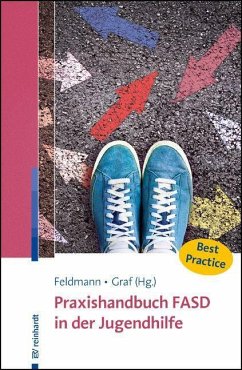 Praxishandbuch FASD in der Jugendhilfe von Reinhardt, München