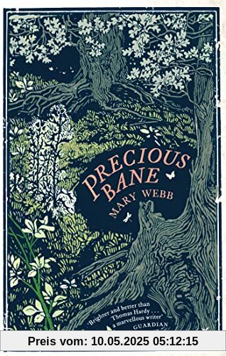 Precious Bane (Virago Modern Classics)
