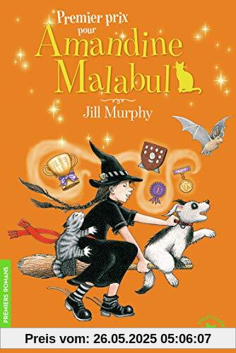 Premier prix pour Amandine Malabul