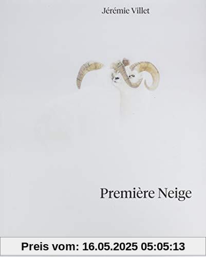 Première neige