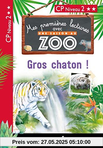 Premières lectures Une saison au zoo Gros Chaton Premières lectures Une saison au zoo Gros Chaton