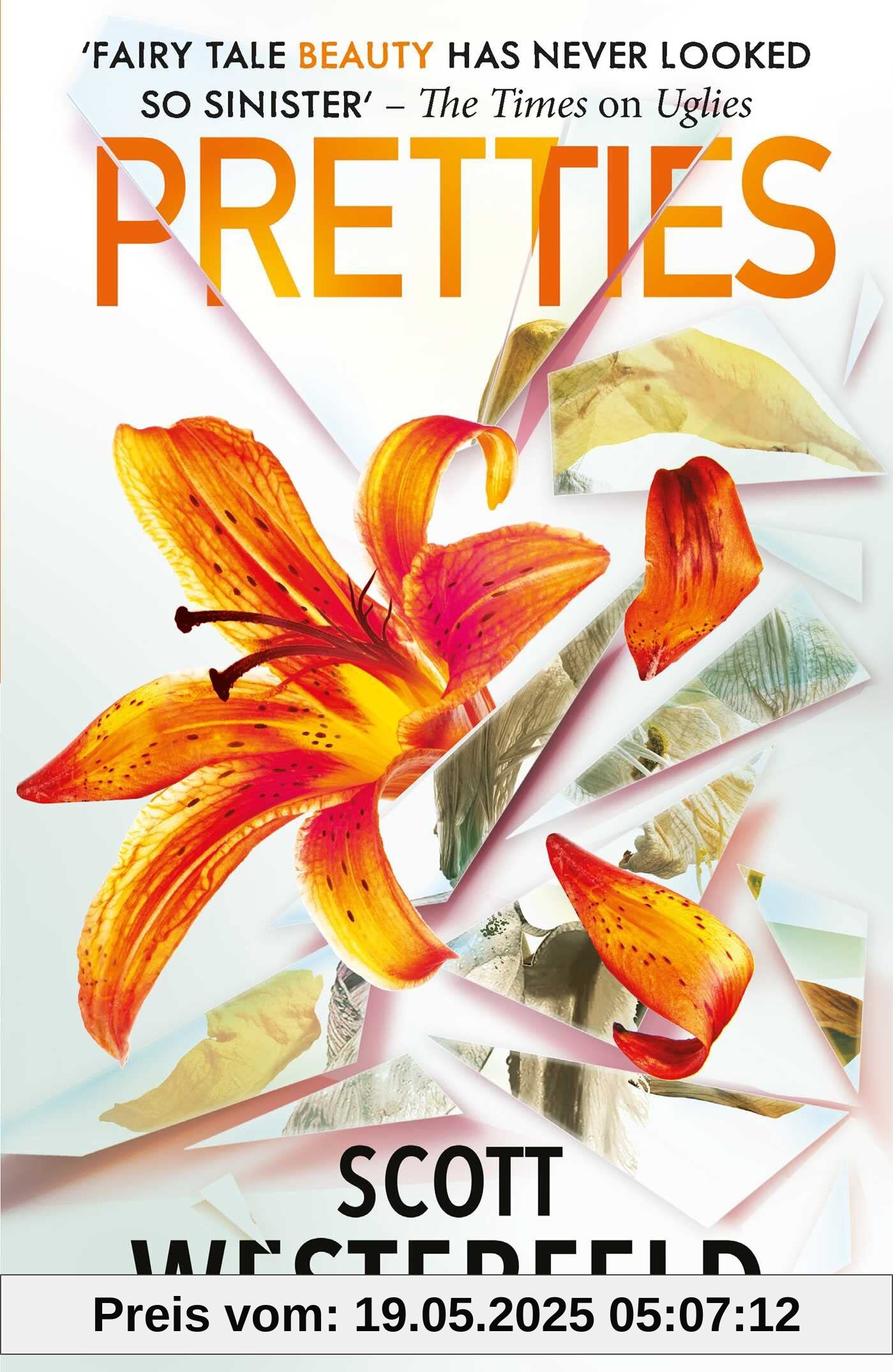 Pretties (Uglies, Band 2)
