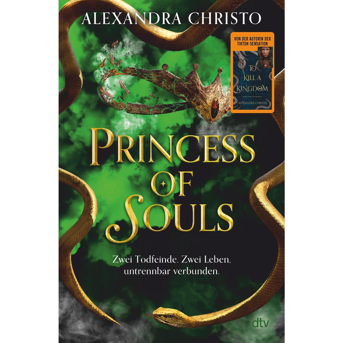 Princess of Souls Princess of Souls von dtv Verlagsgesellschaft
