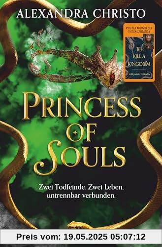 Princess of Souls: Mitreißende Enemies-to-Lovers-Romantasy der TikTok-Erfolgsautorin von ›To Kill a Kingdom‹ | Hochwertig veredelt Princess of Souls: Mitreißende Enemies-to-Lovers-Romantasy der TikTok-Erfolgsautorin von ›To Kill a Kingdom‹ | Hochwertig veredelt