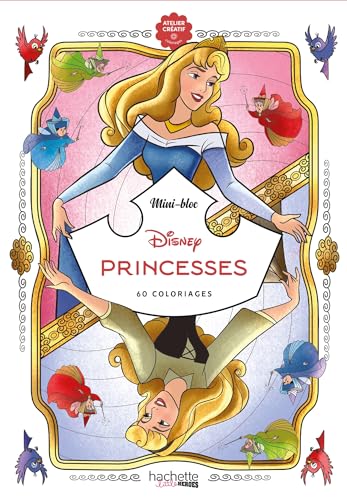 Princesses von HACHETTE HEROES