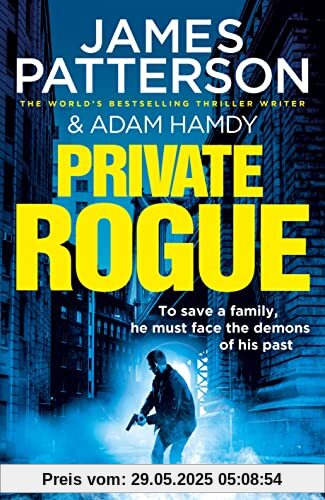 Private Rogue: (Private 16)