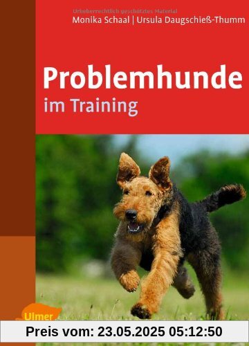Problemhunde im Training