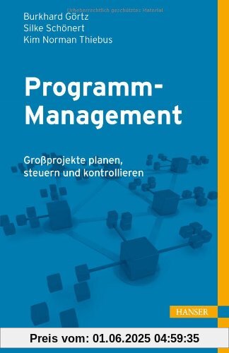 Programm-Management: Großprojekte planen, steuern und kontrollieren