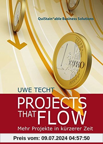 Projects that Flow. Mehr Projekte in kürzerer Zeit: Die Geheimnisse erfolgreicher Projektunternehmen (QuiStainable Business Solutions)