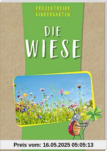 Projektreihe Kindergarten - Die Wiese (Projektreihe Kindergarten: Projektarbeit und Projekte für Kindergarten und Kita)