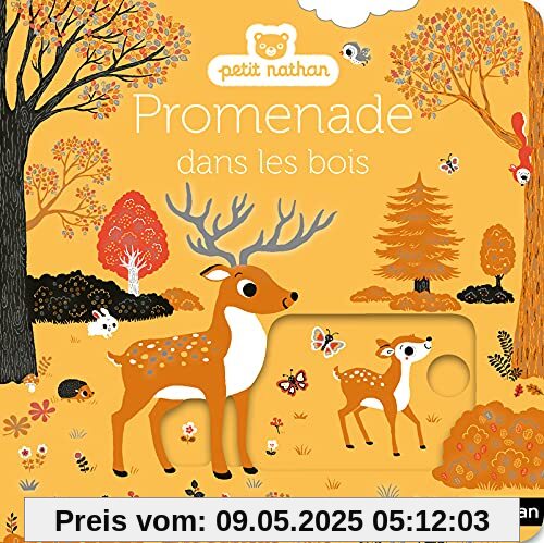 Promenade dans les bois