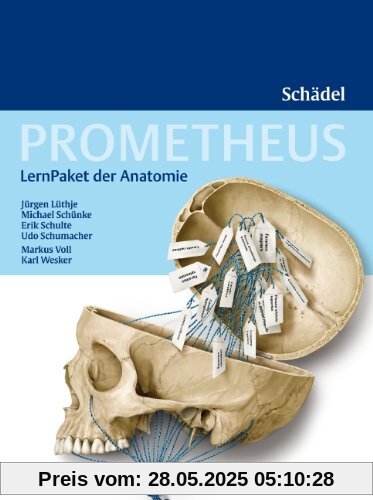 Prometheus LernPaket der Anatomie: Schädel Prometheus LernPaket der Anatomie: Schädel