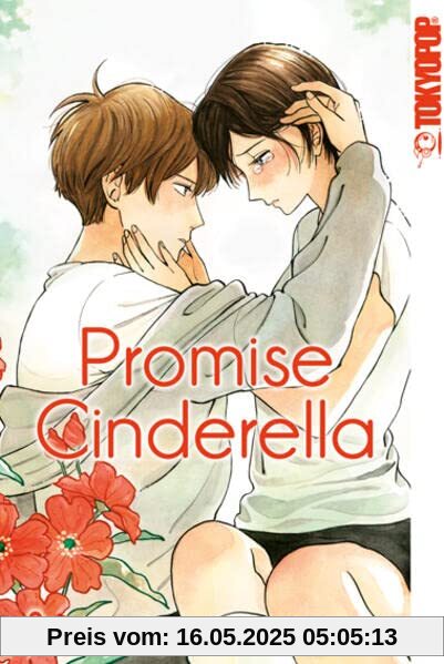 Promise Cinderella 08