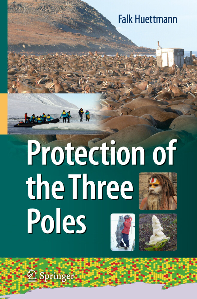 Protection of the Three Poles von Springer Japan