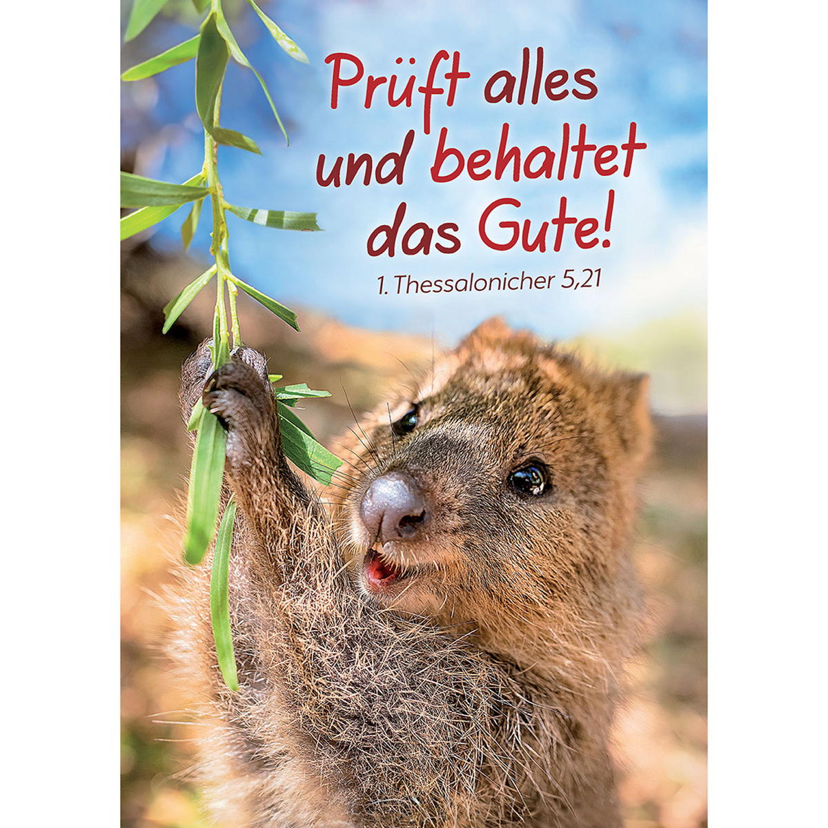 Prüft alles und behaltet das Gute! von Kawohl-Verlag
