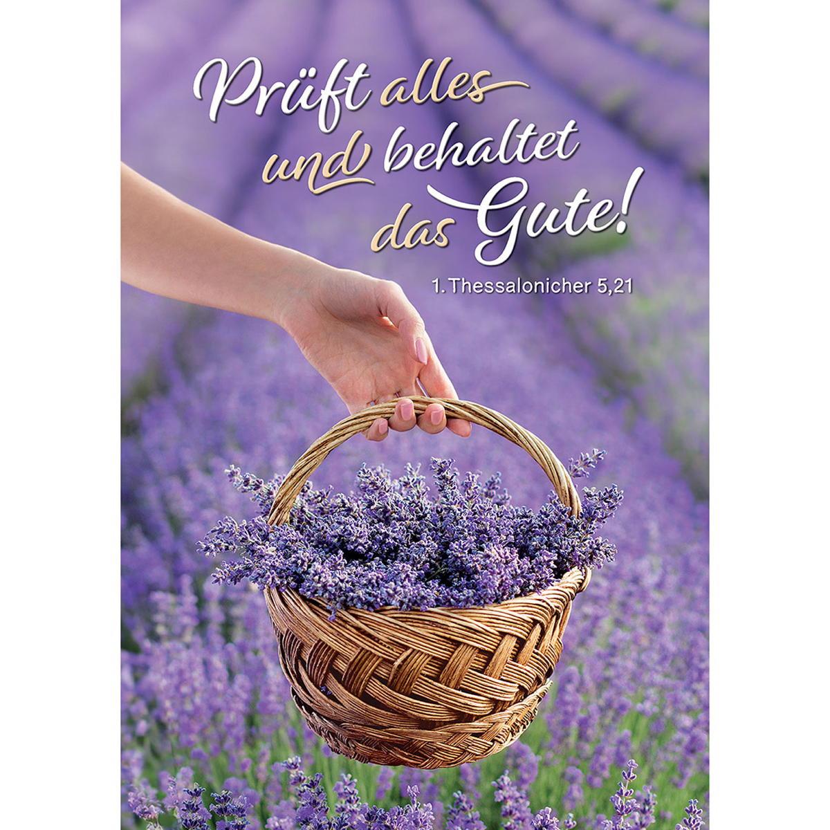 Prüft alles und behaltet das Gute! von Kawohl-Verlag