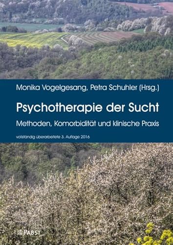 Psychotherapie der Sucht: Methoden, Komorbidität und klinische Praxis