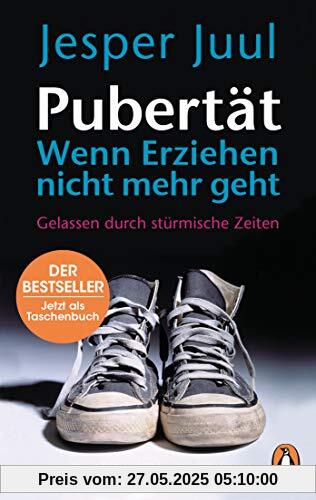 Pubertät – wenn Erziehen nicht mehr geht: Gelassen durch stürmische Zeiten