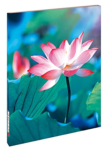 Pure Lotus: Blankbook (Blankbook (RB906))