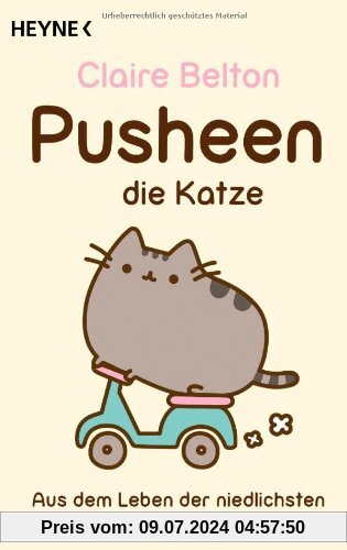Pusheen, die Katze: Aus dem Leben der niedlichsten Katze der Welt